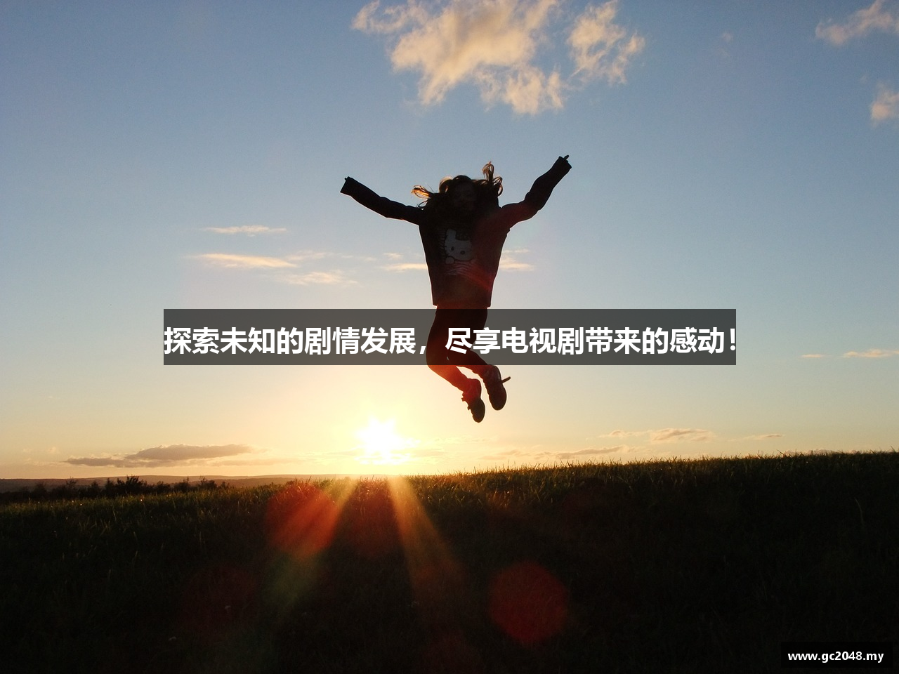 探索未知的剧情发展，尽享电视剧带来的感动！